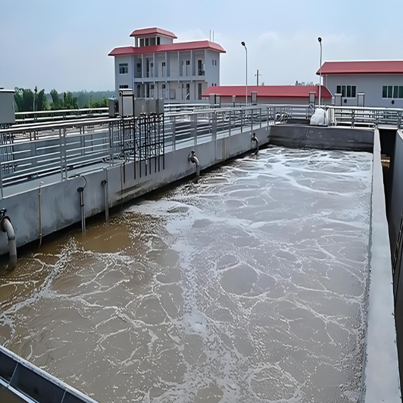 天然渾水的沉降可分為哪些？